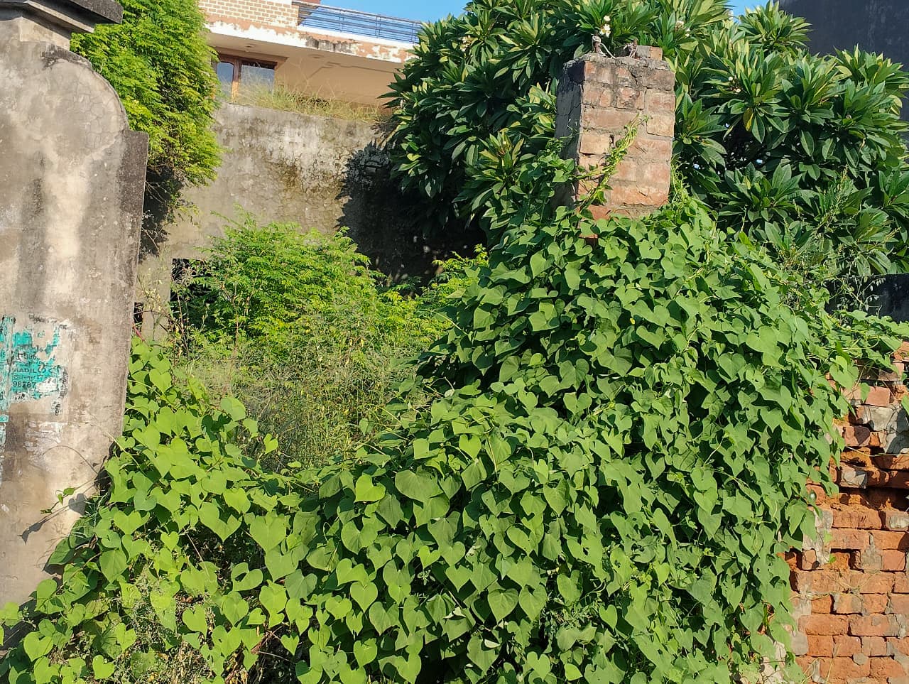 Property Photos 18