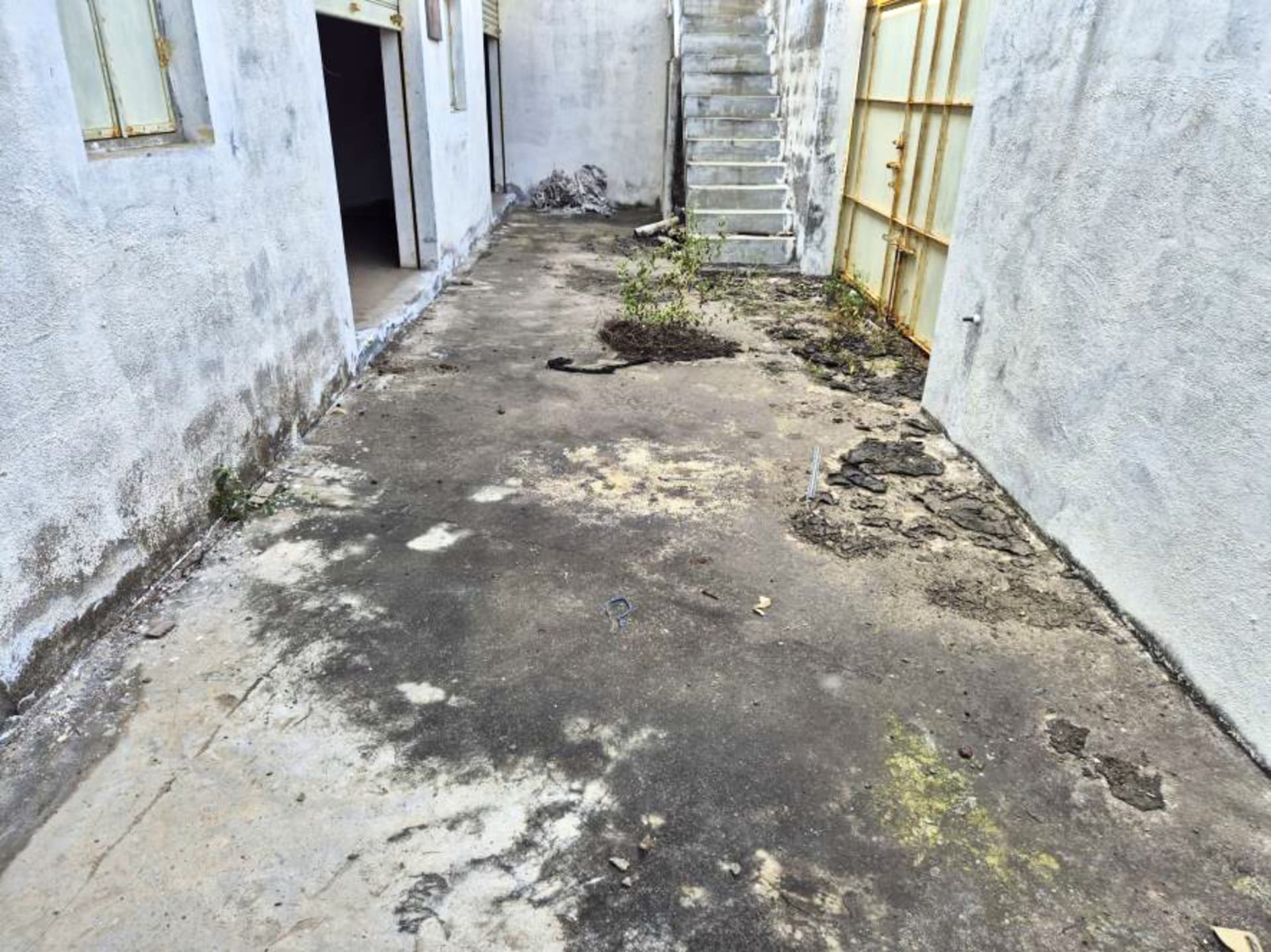 Property Photos 11