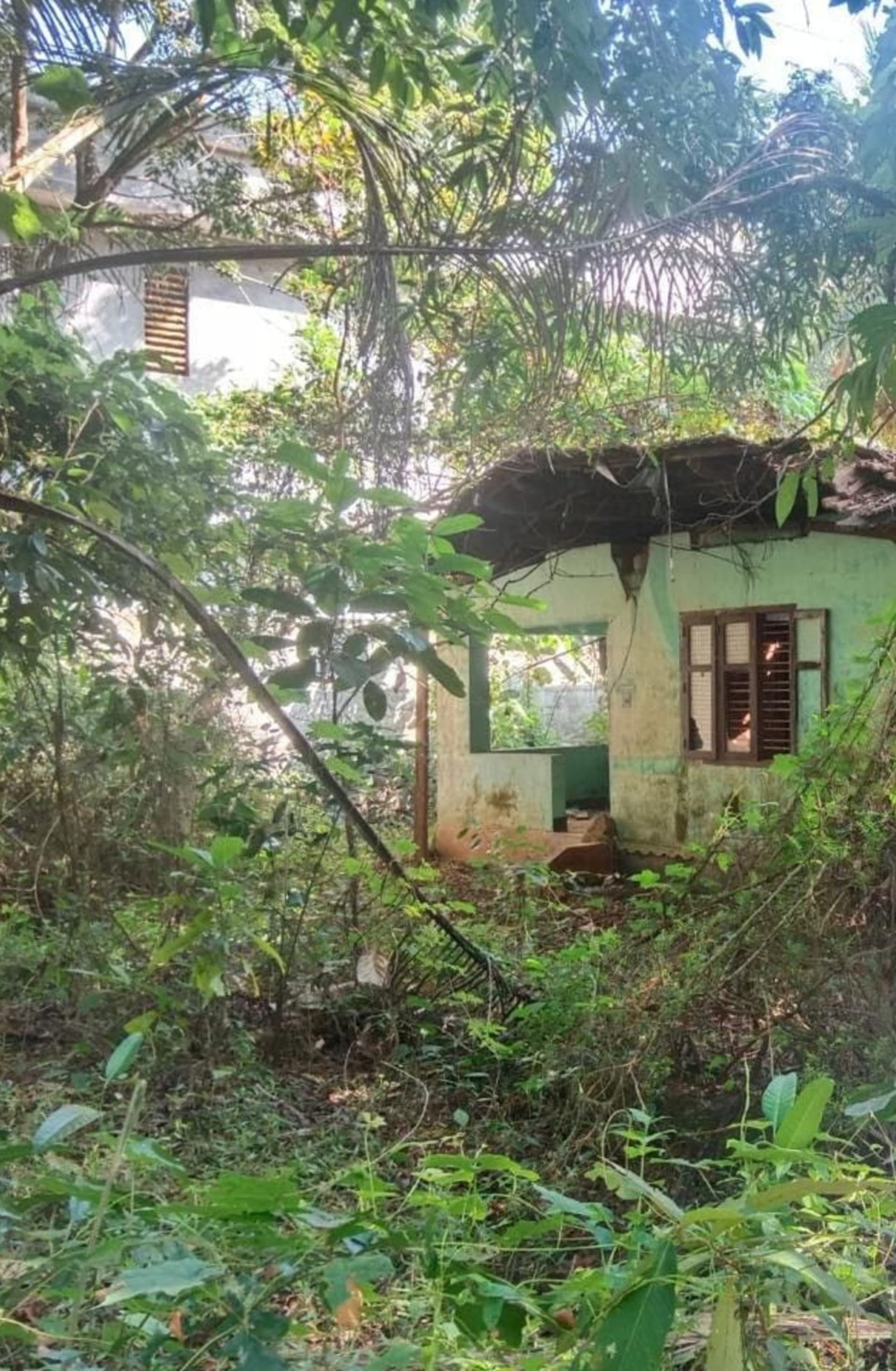Property Photos 5