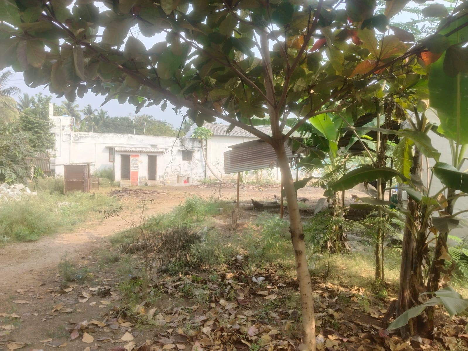 Property Photos 2