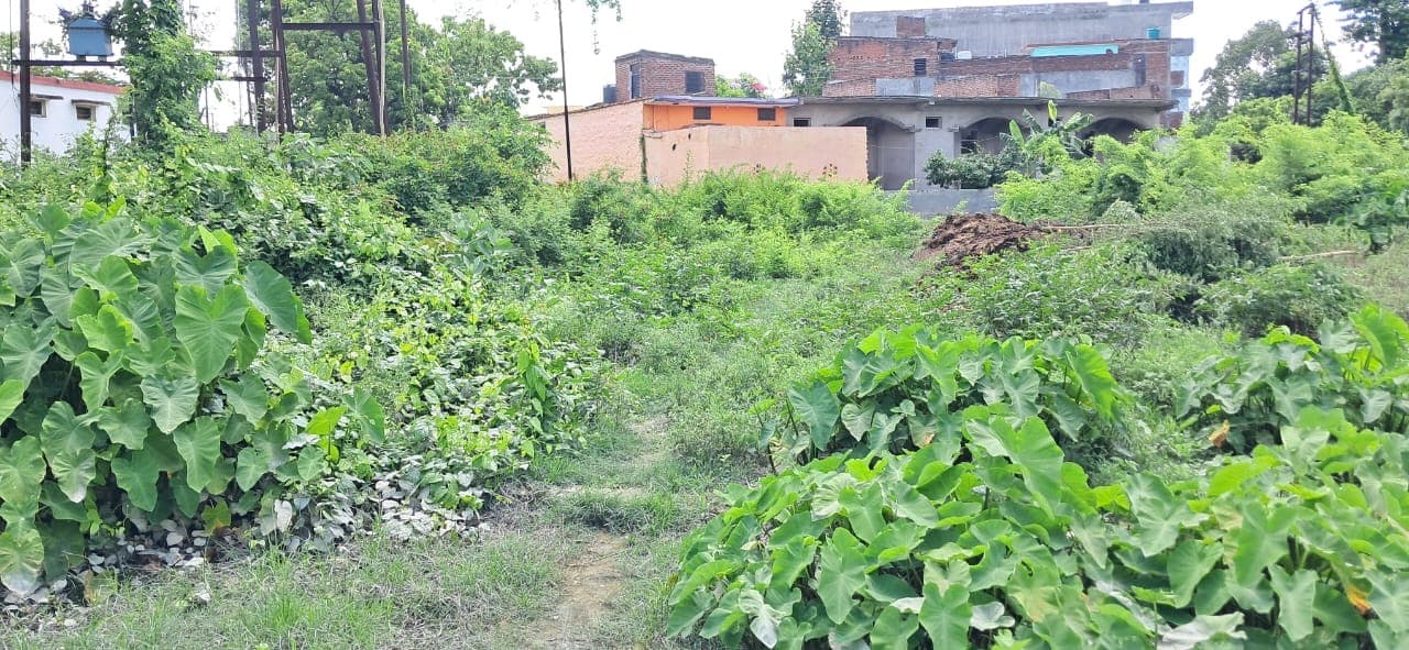 Property Photos 1