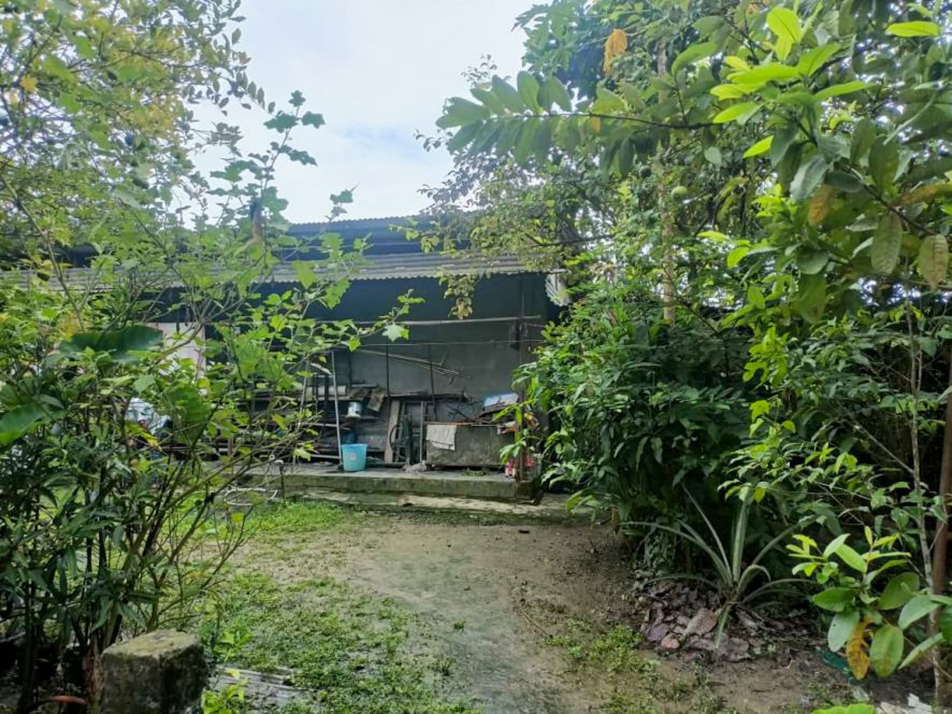 Property Photos 11