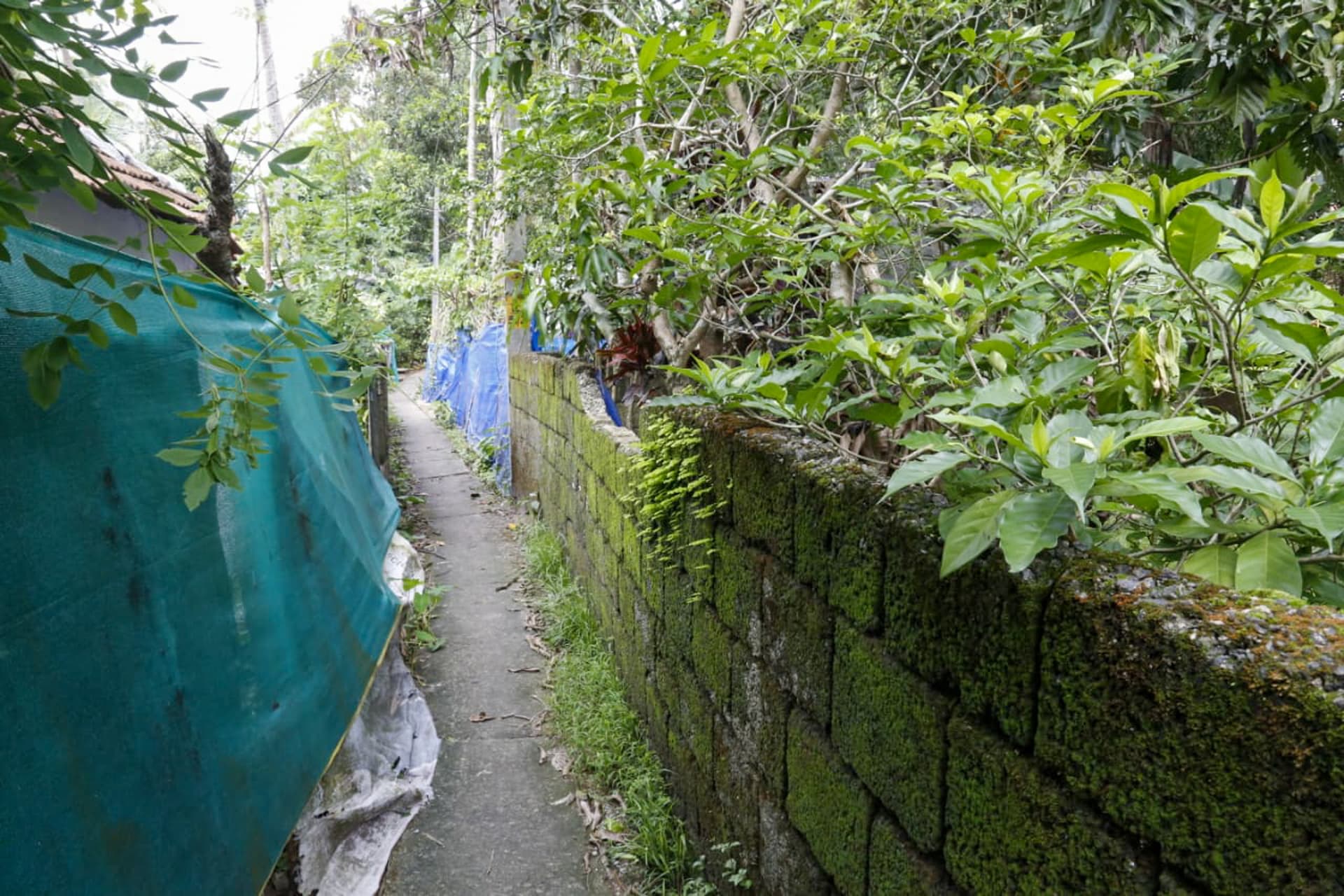 Property Photos 4