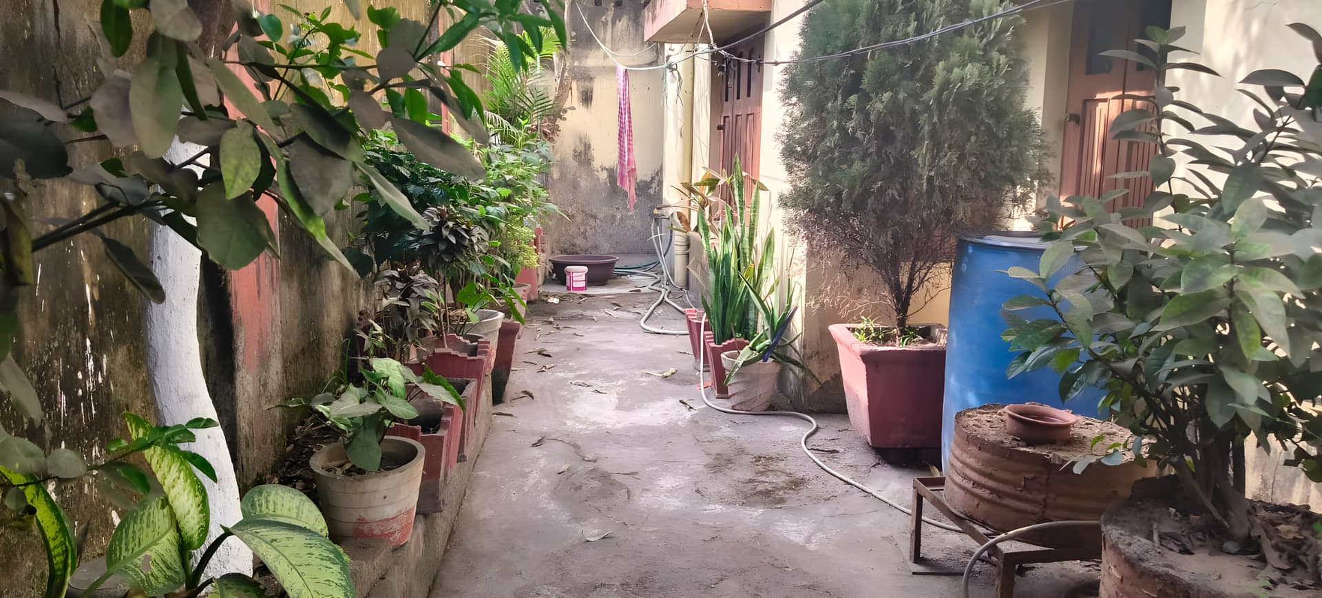 Property Photos 2