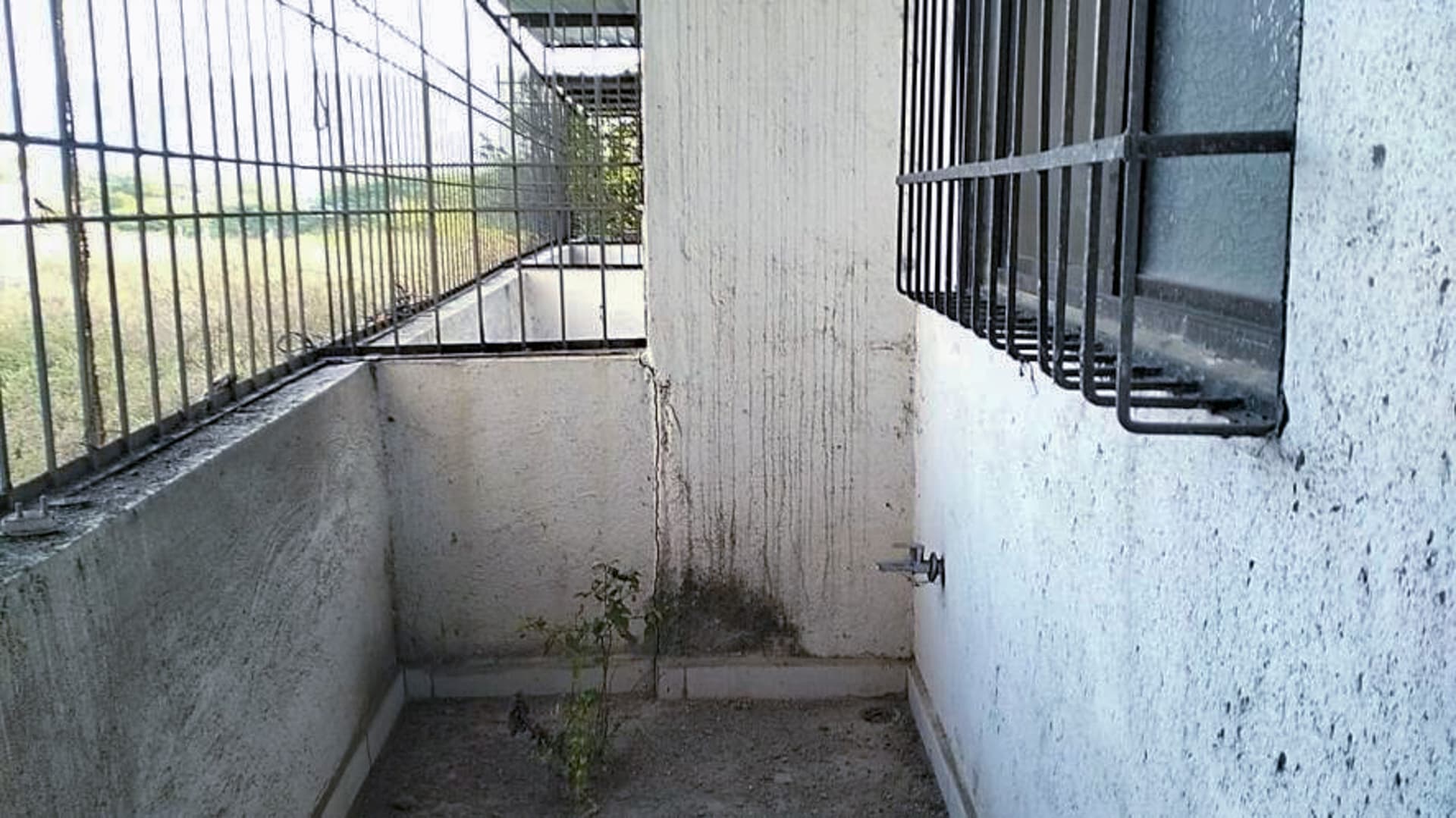 Property Photos 6