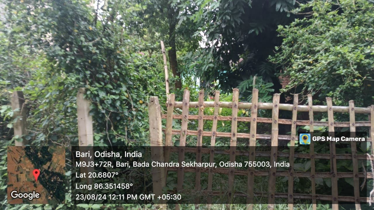 Property Photos 2