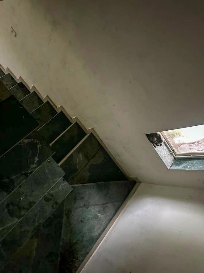 Property Photos 21