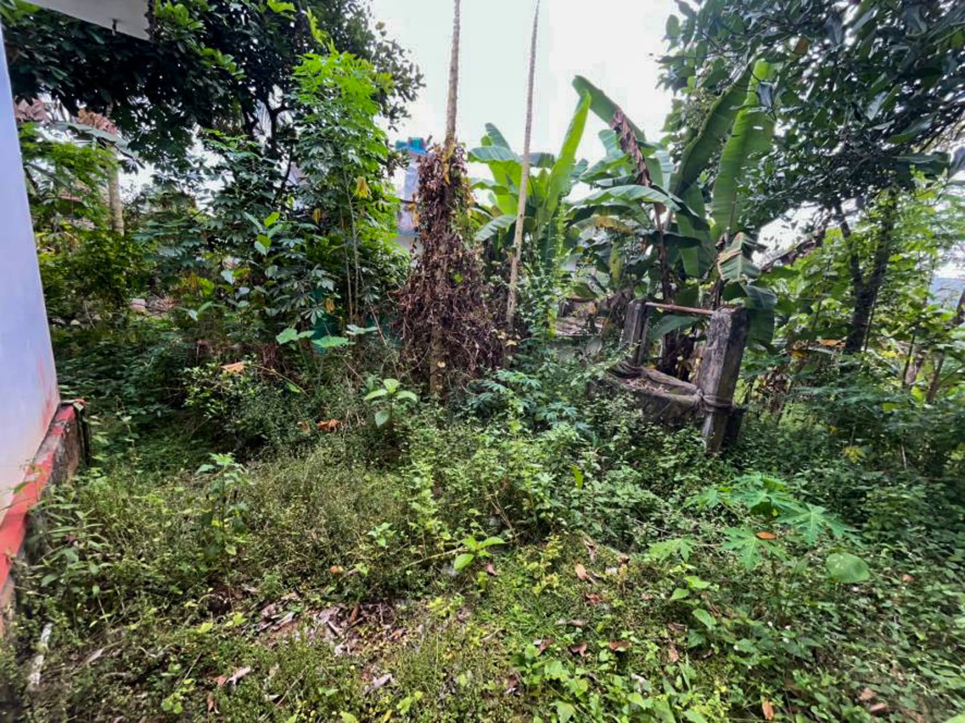 Property Photos 19