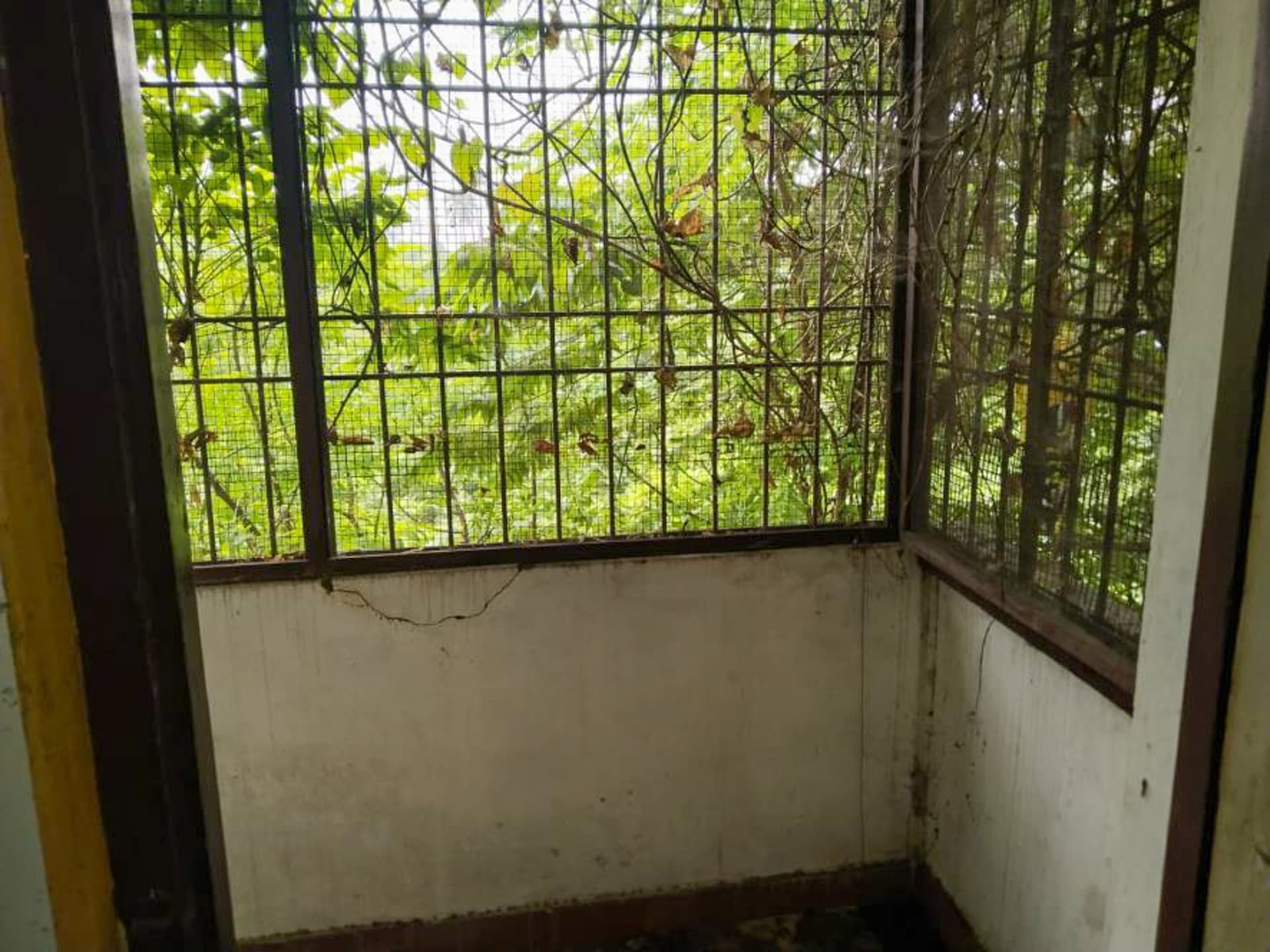 Property Photos 8
