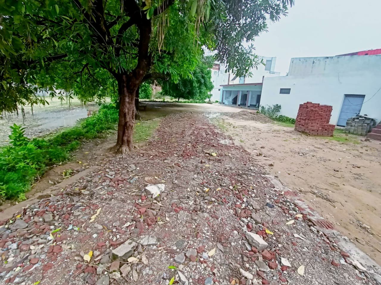 Property Photos 4