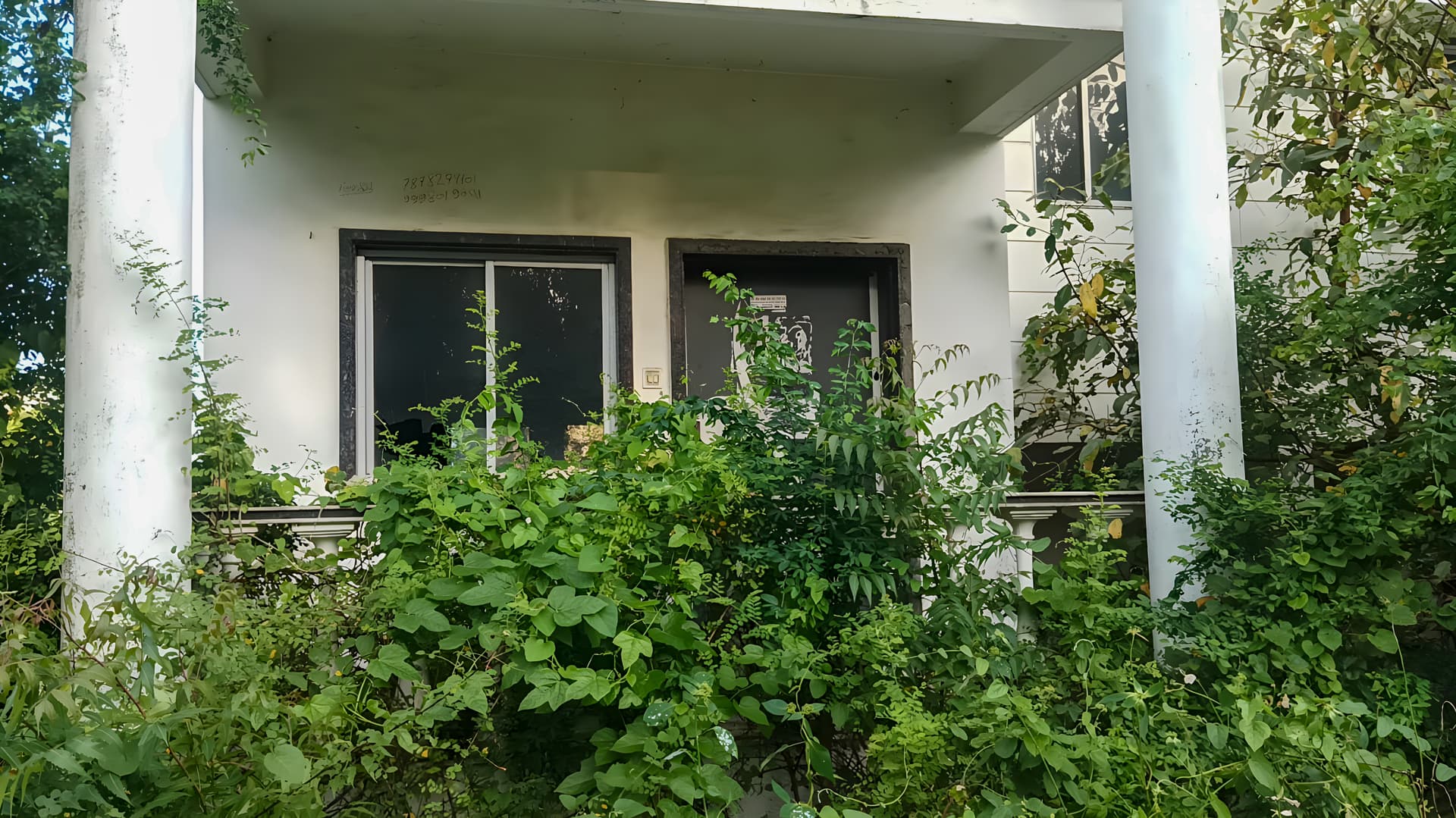 Property Photos 7