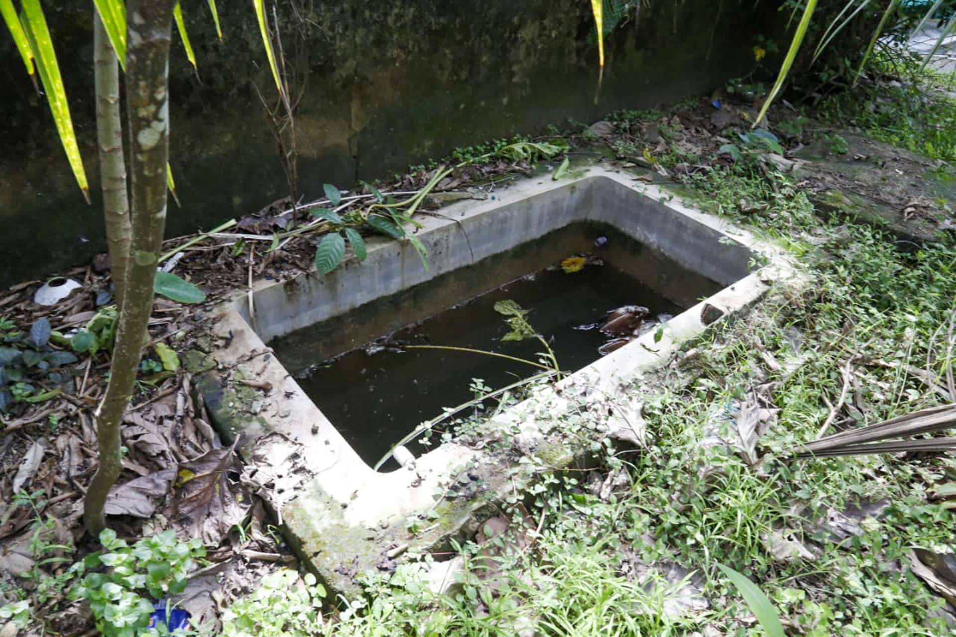 Property Photos 5
