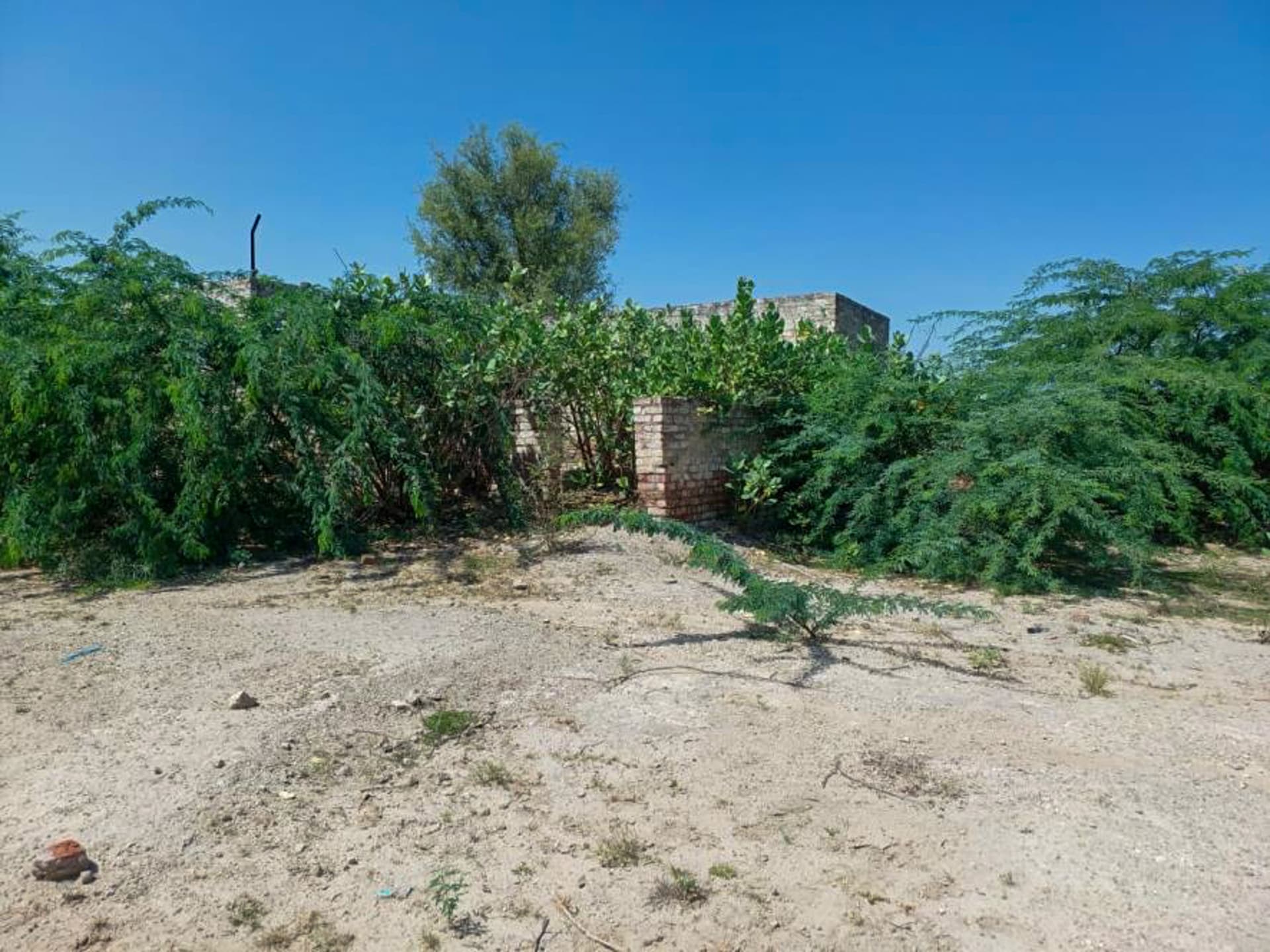 Property Photos 19