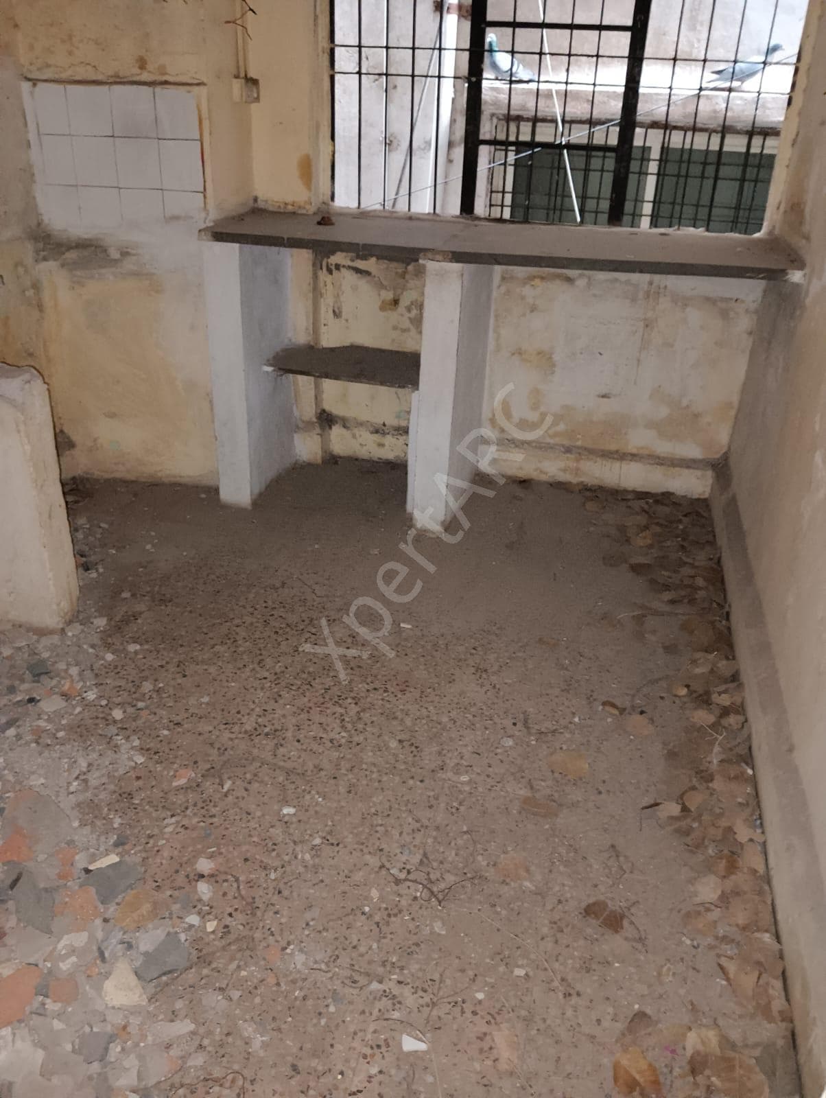 Property Photos 3