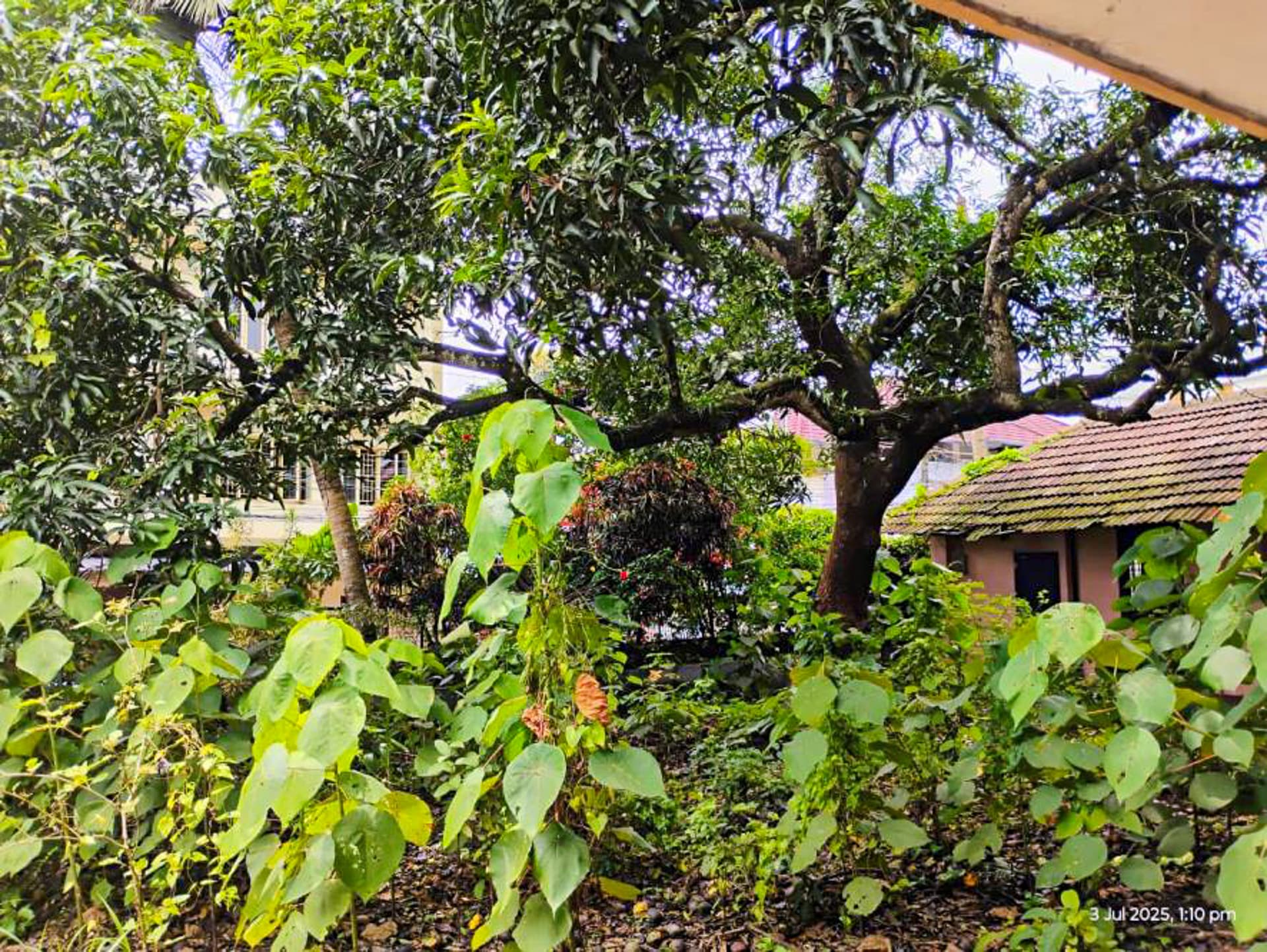 Property Photos 3