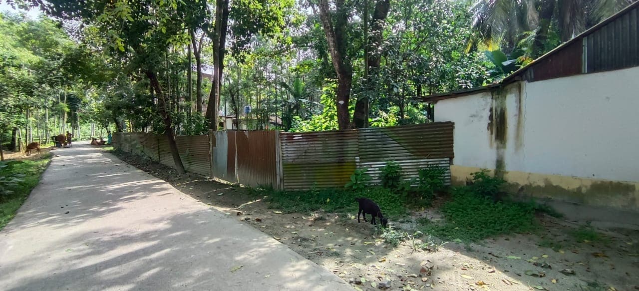 Property Photos 3
