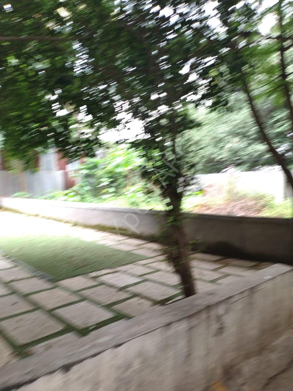 Property Photos 19