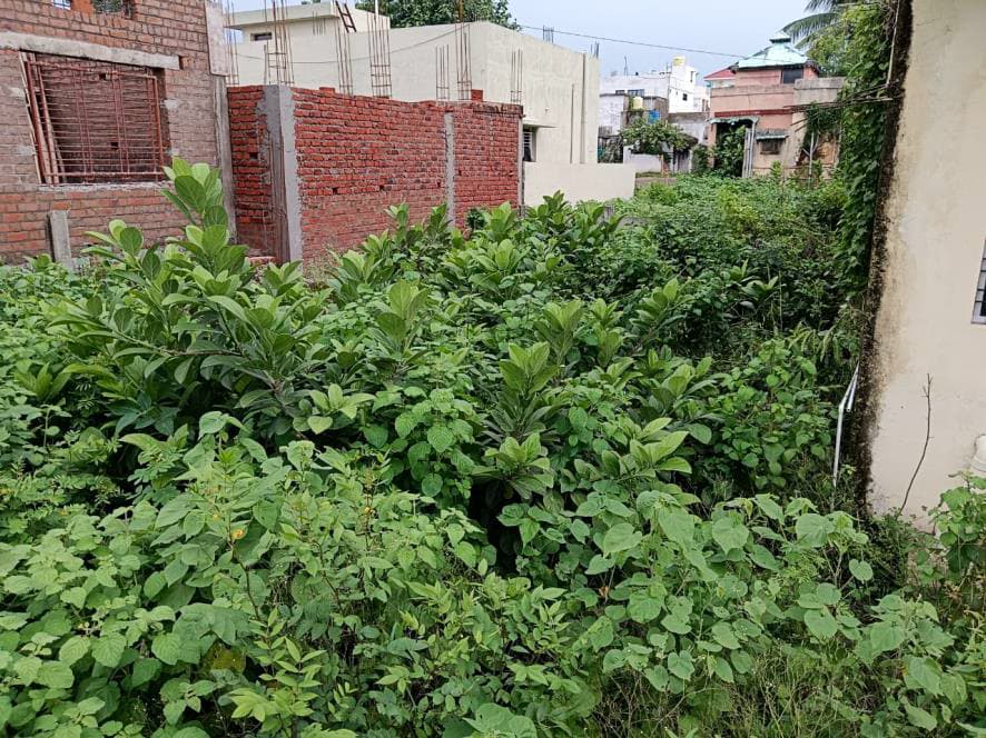 Property Photos 6