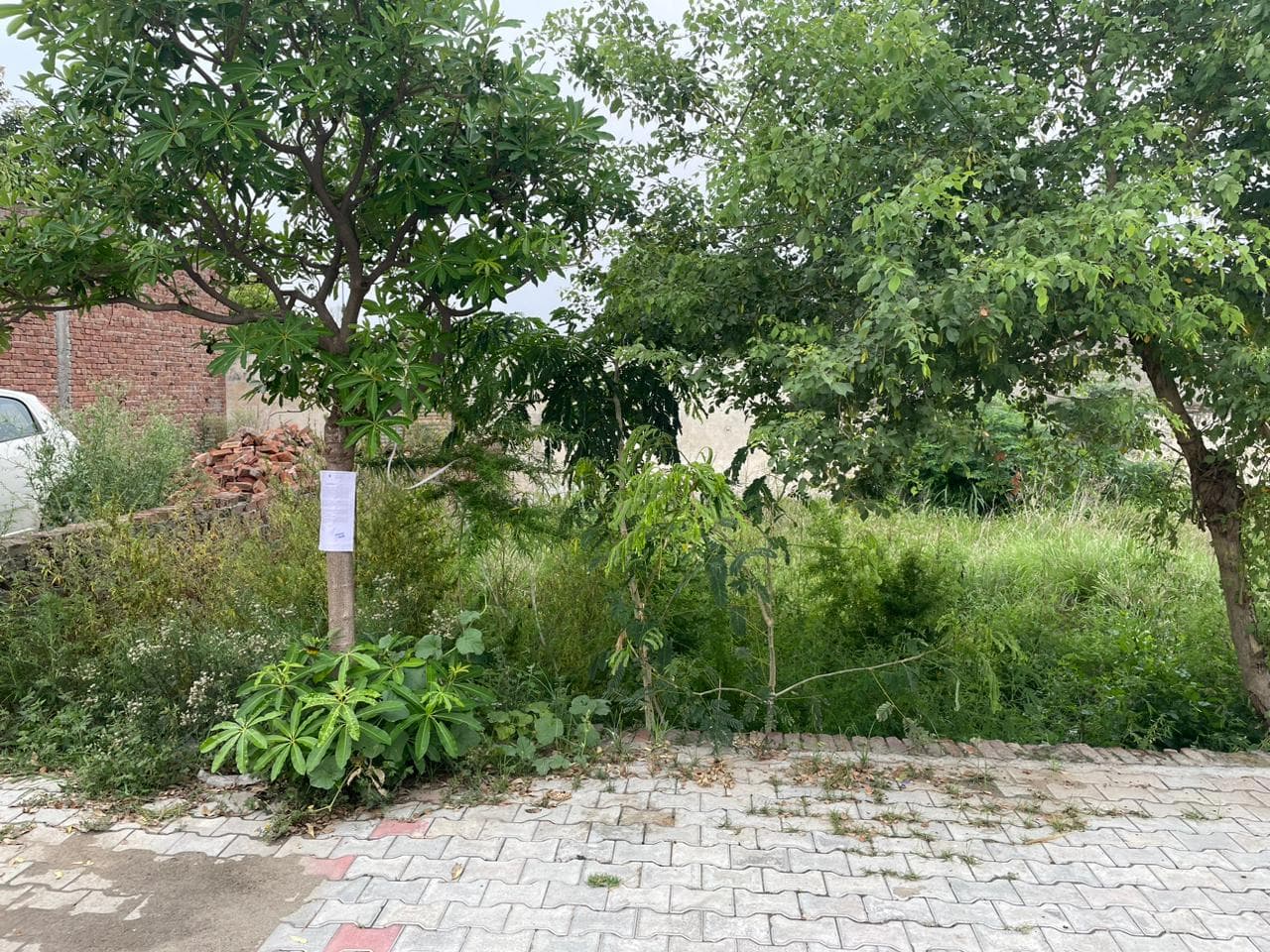 Property Photos 3