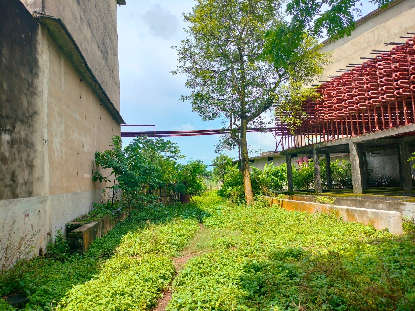 Property Photos 6