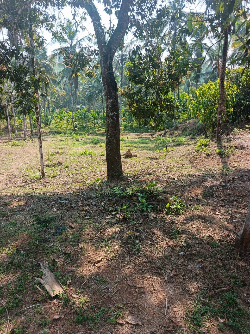 Property Photos 2