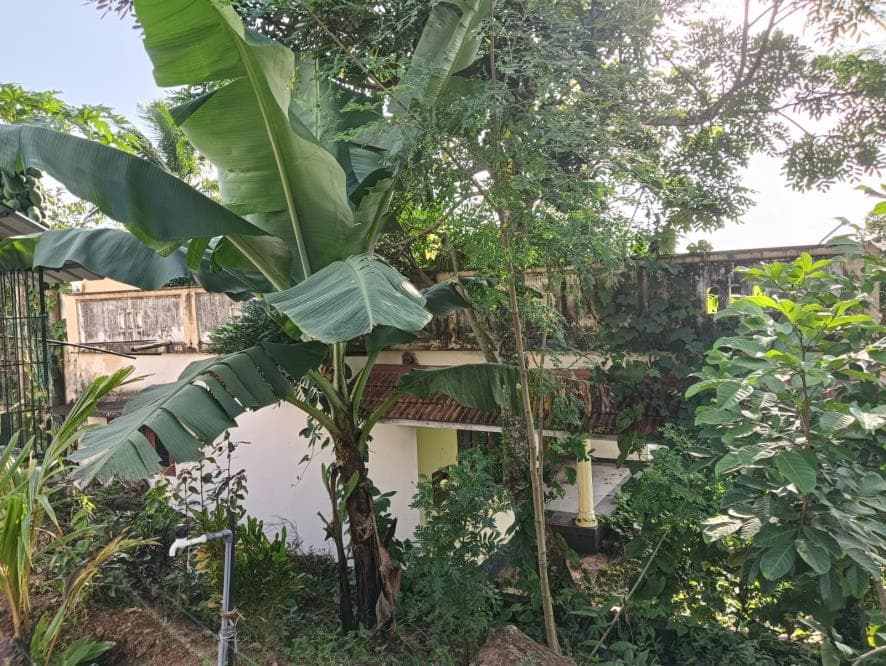 Property Photos 28
