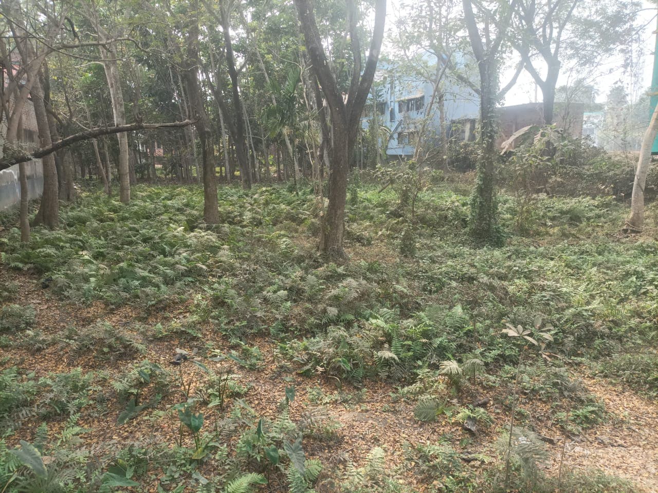 Property Photos 8