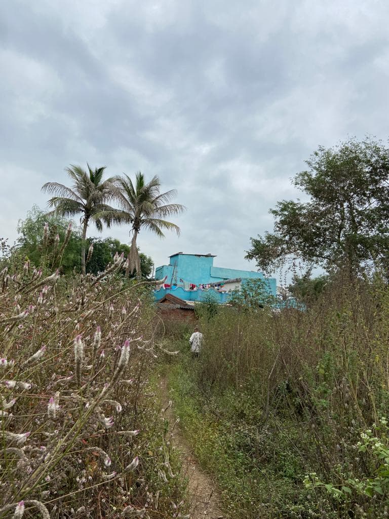 Property Photos 2