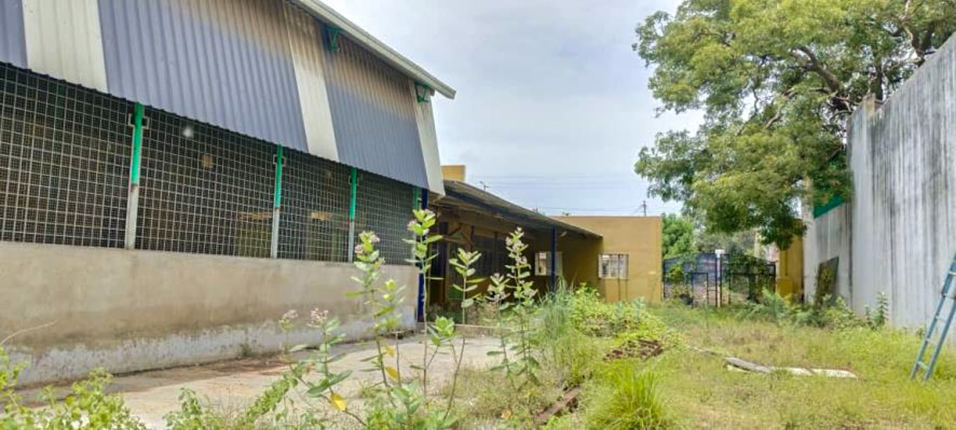 Property Photos 6