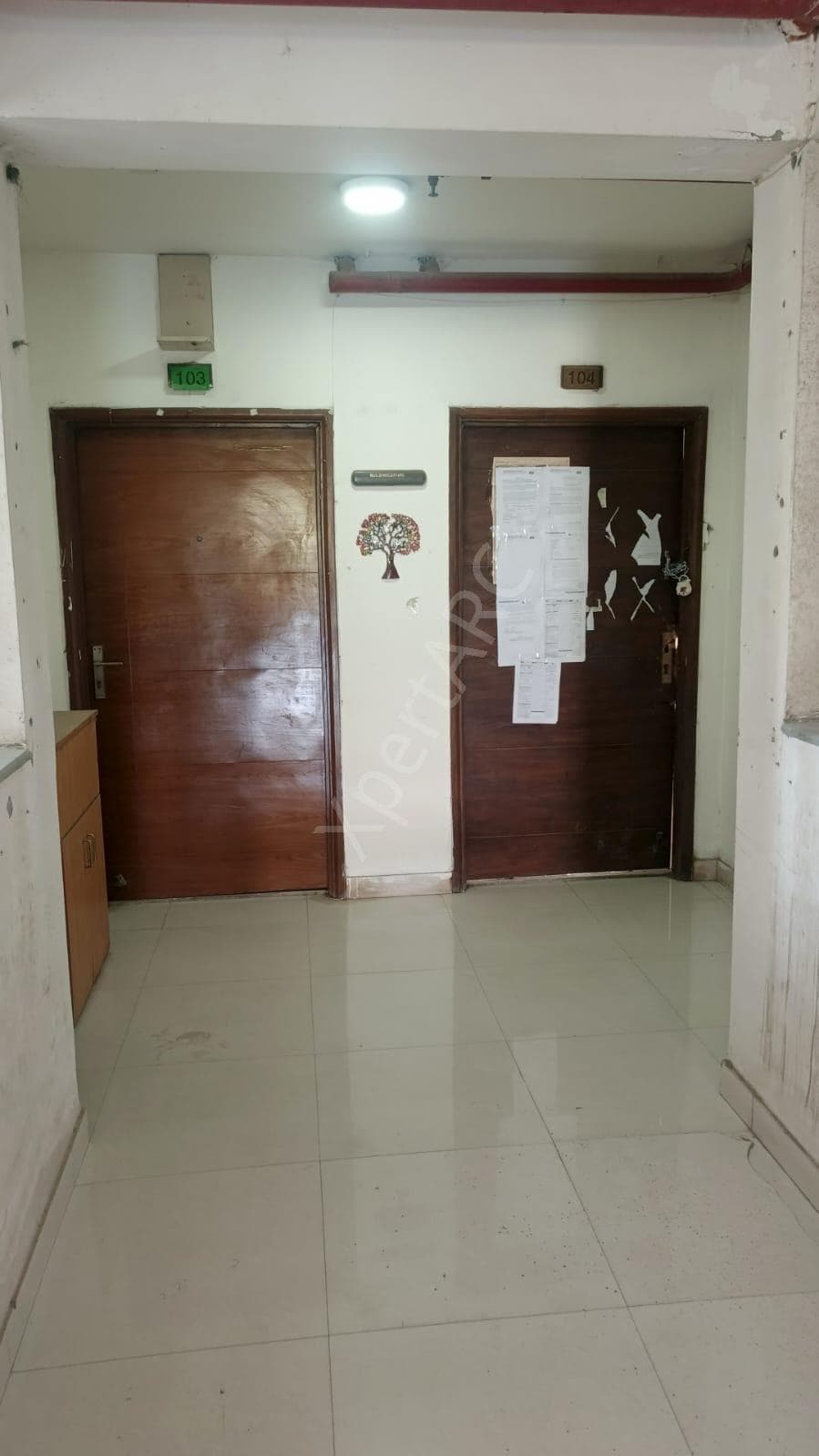 Property Photos 3