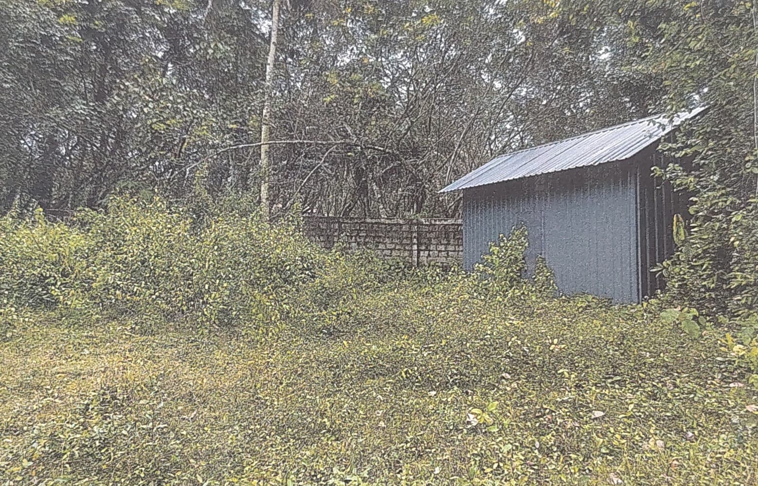 Property Photos 1