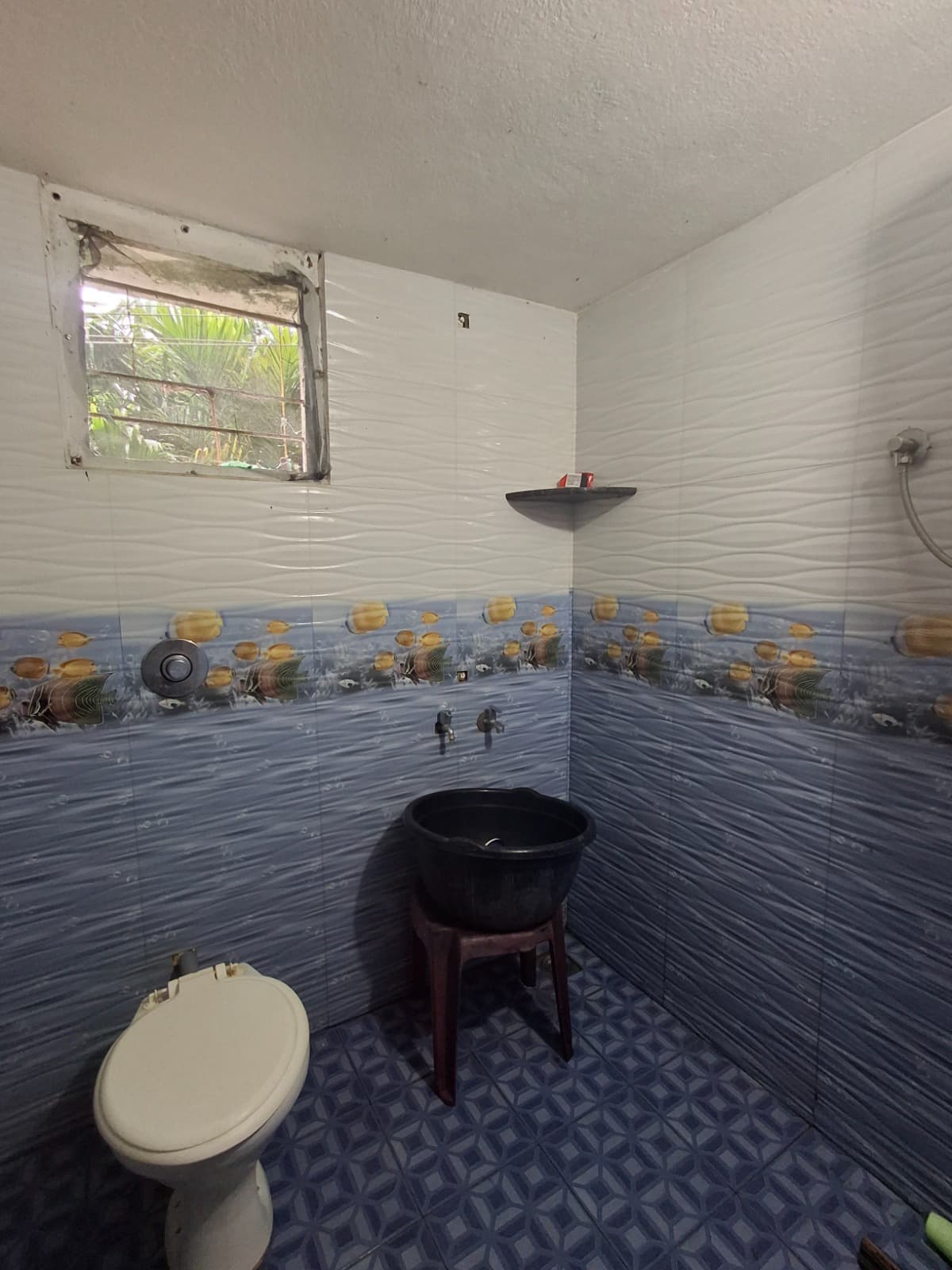 Property Photos 6