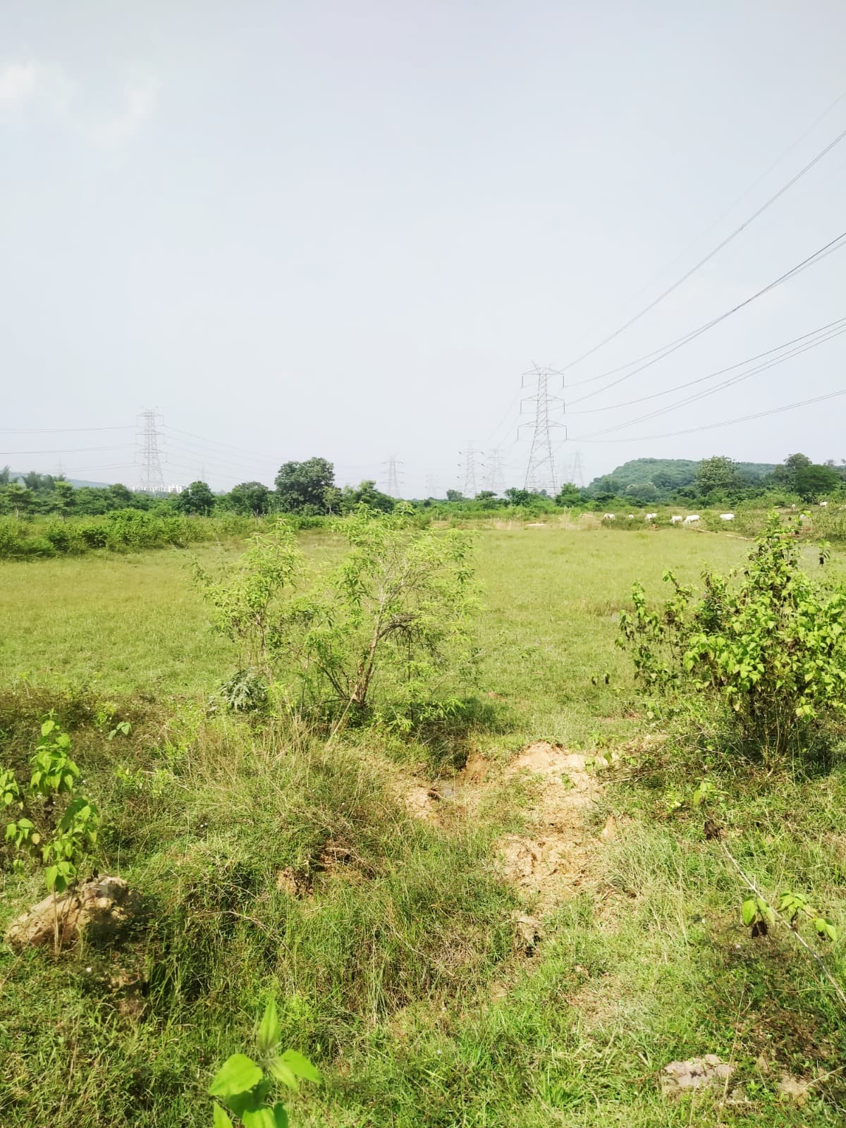 Property Photos 4