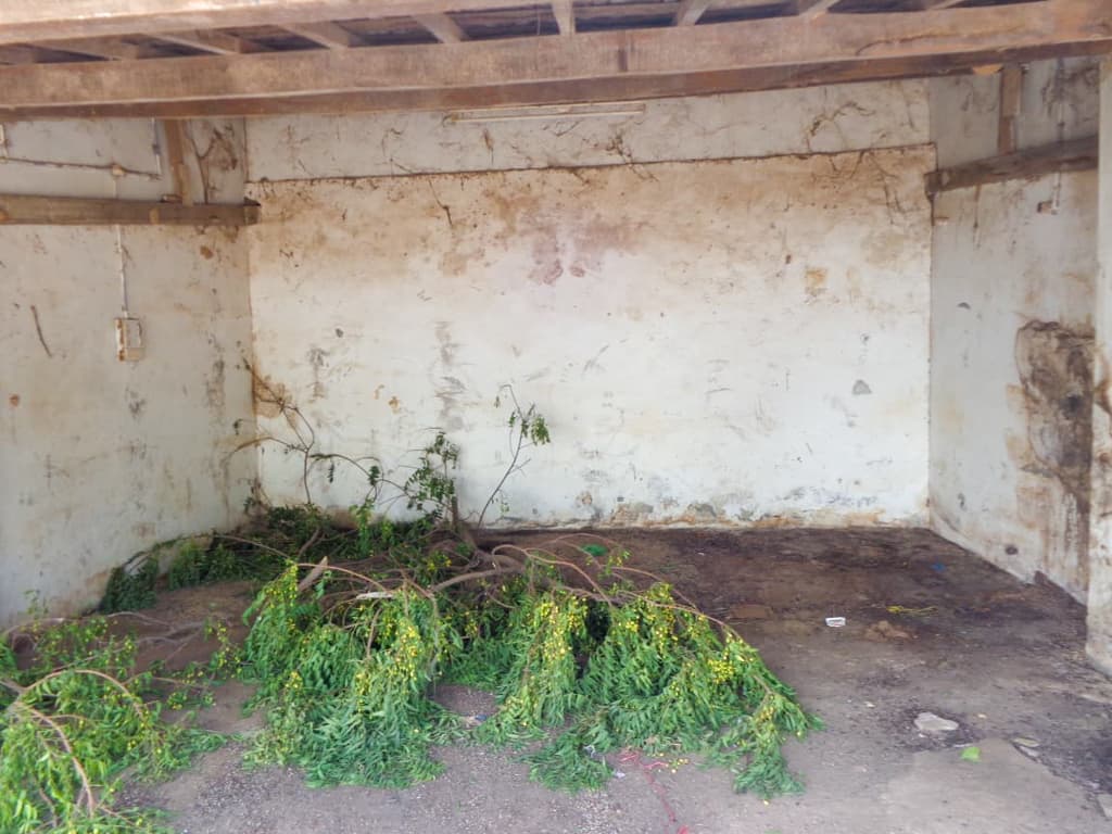 Property Photos 6