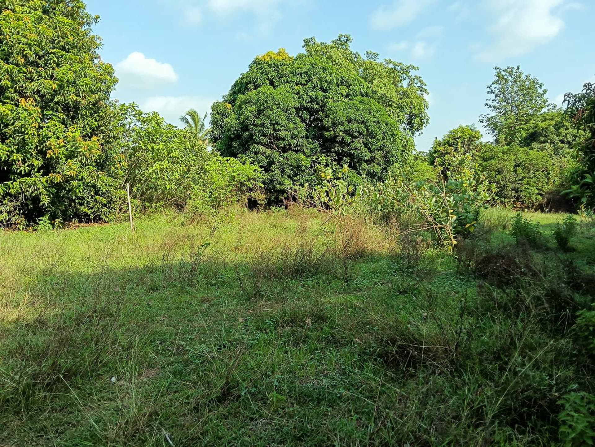 Property Photos 6