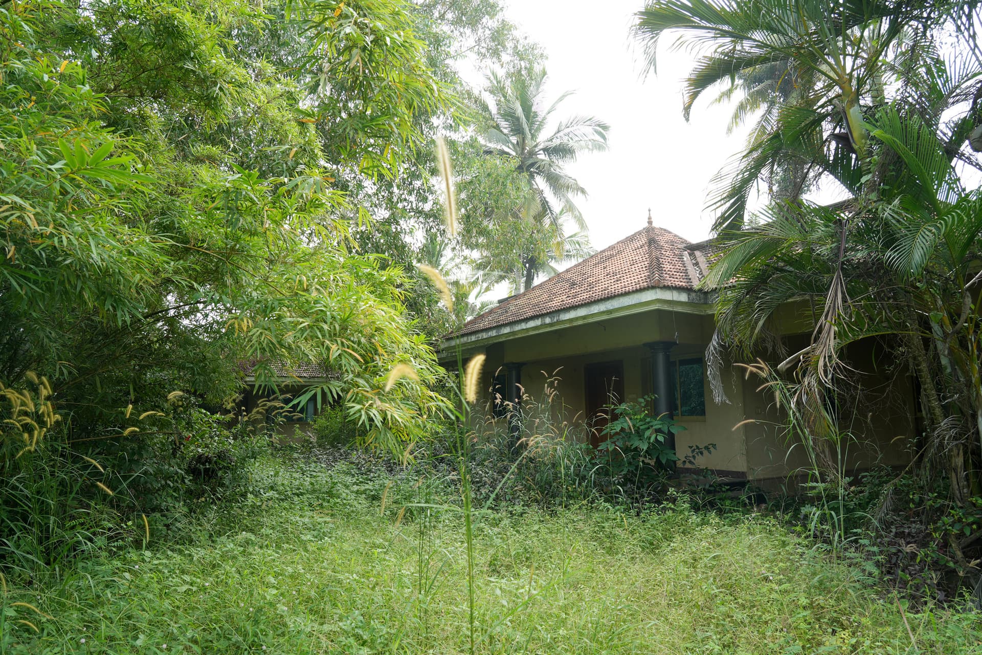 Property Photos 17
