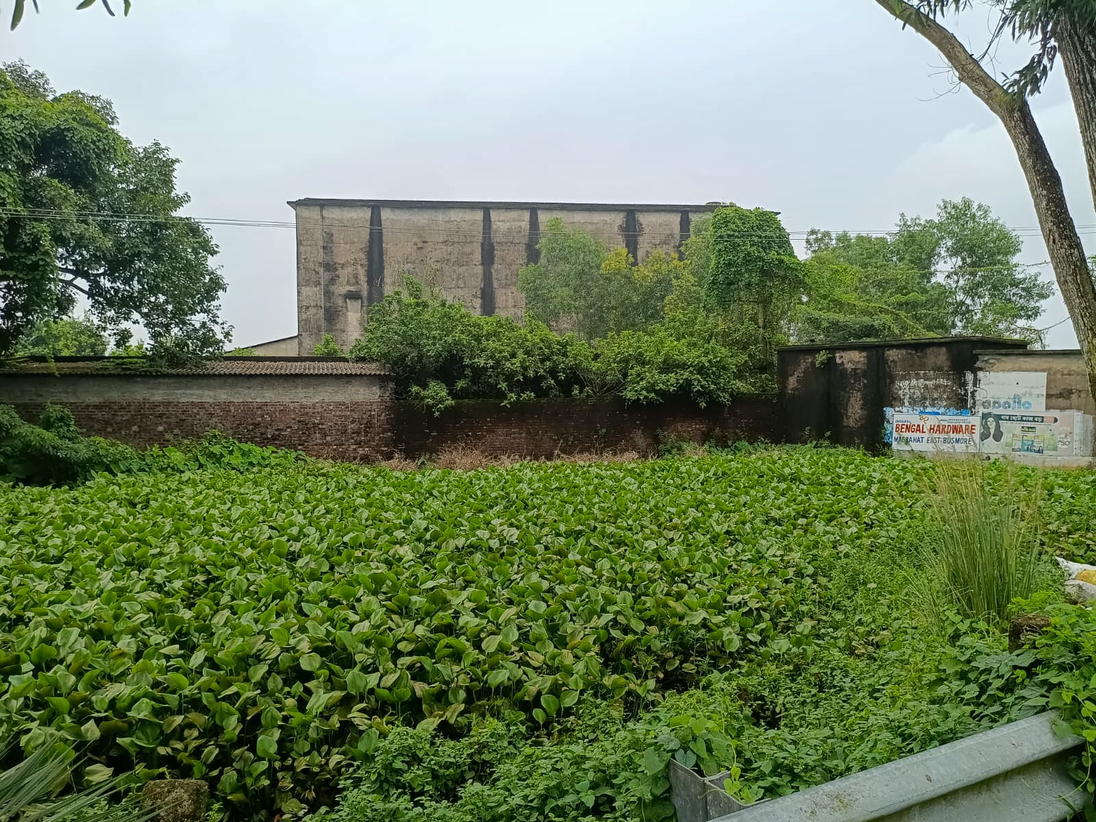 Property Photos 3