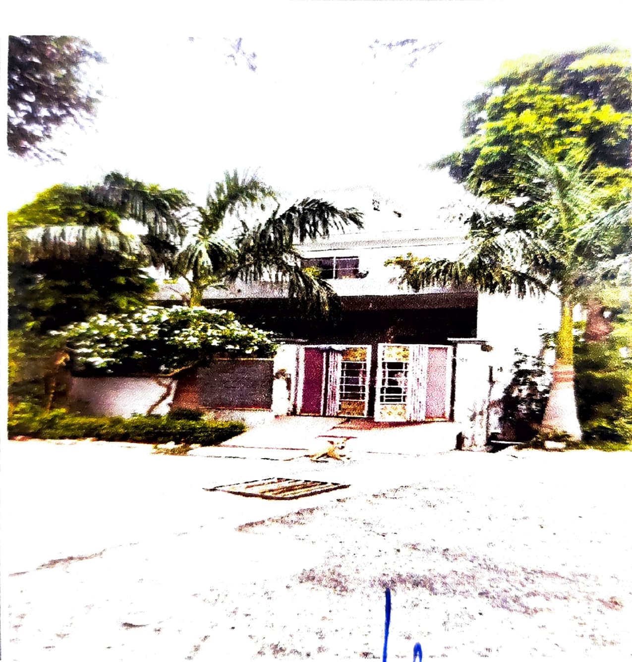 Property Photos 5