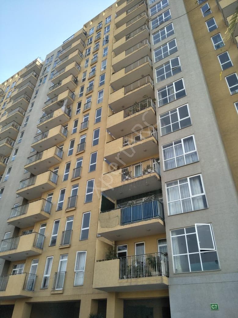 Property Photos 11