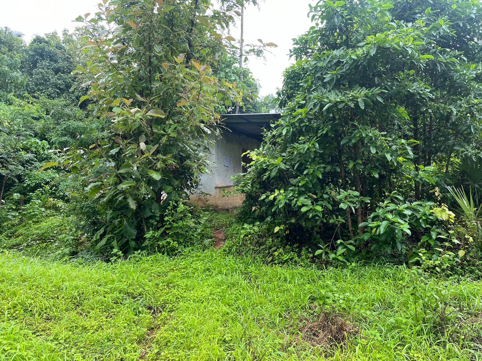 Property Photos 1