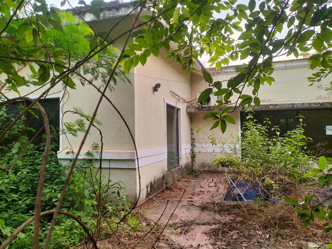 Property Photos 4