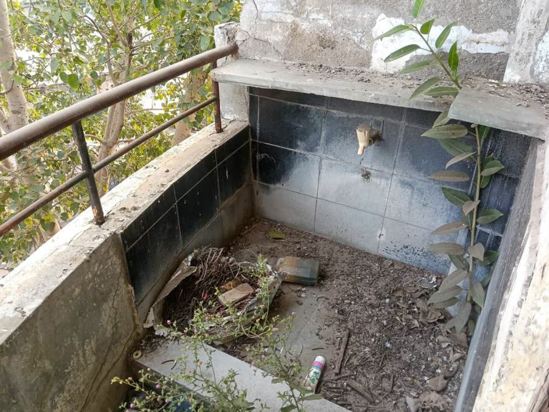 Property Photos 7