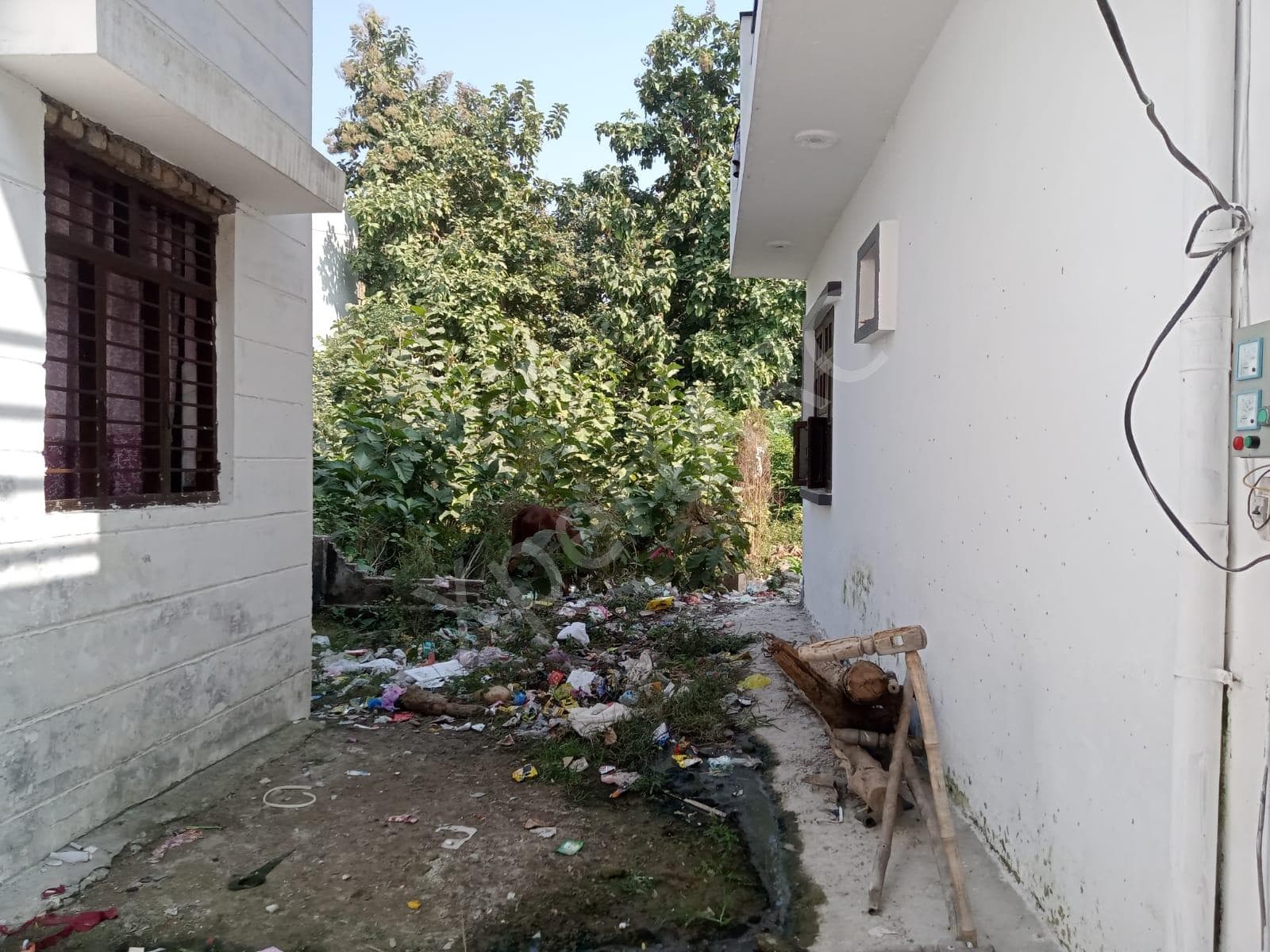 Property Photos 2