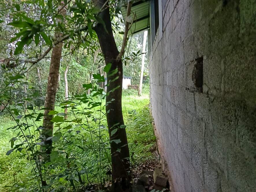 Property Photos 18