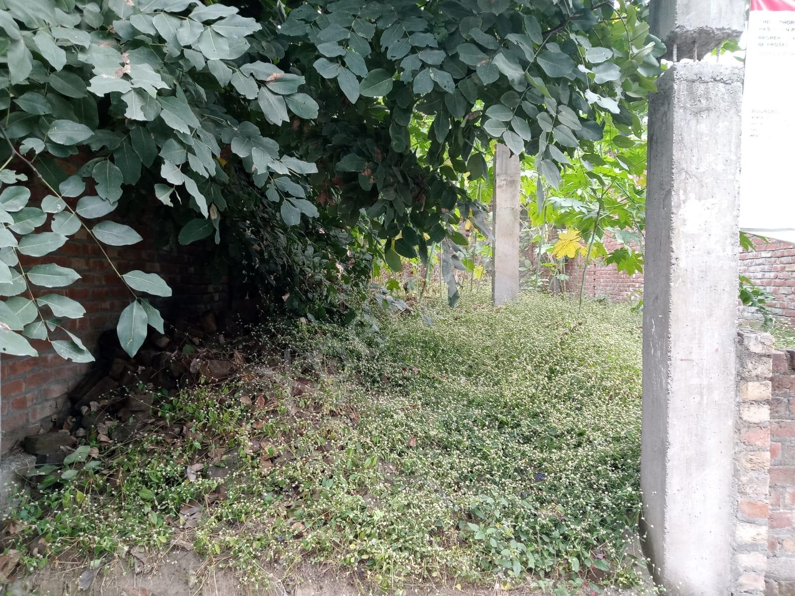 Property Photos 3