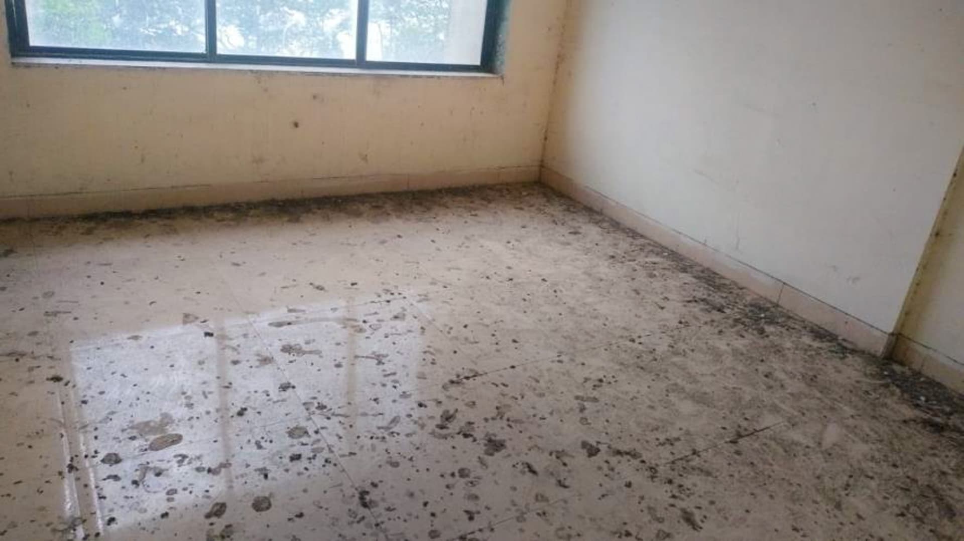 Property Photos 25