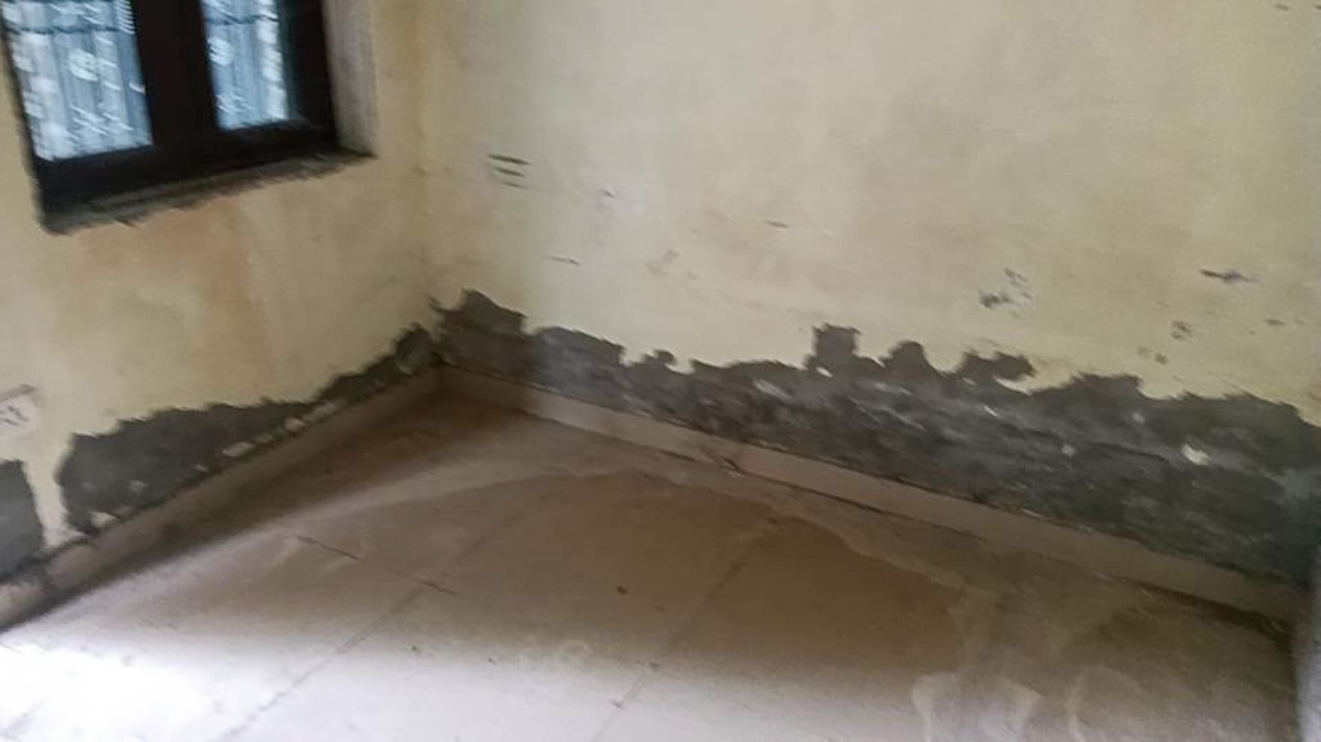 Property Photos 5