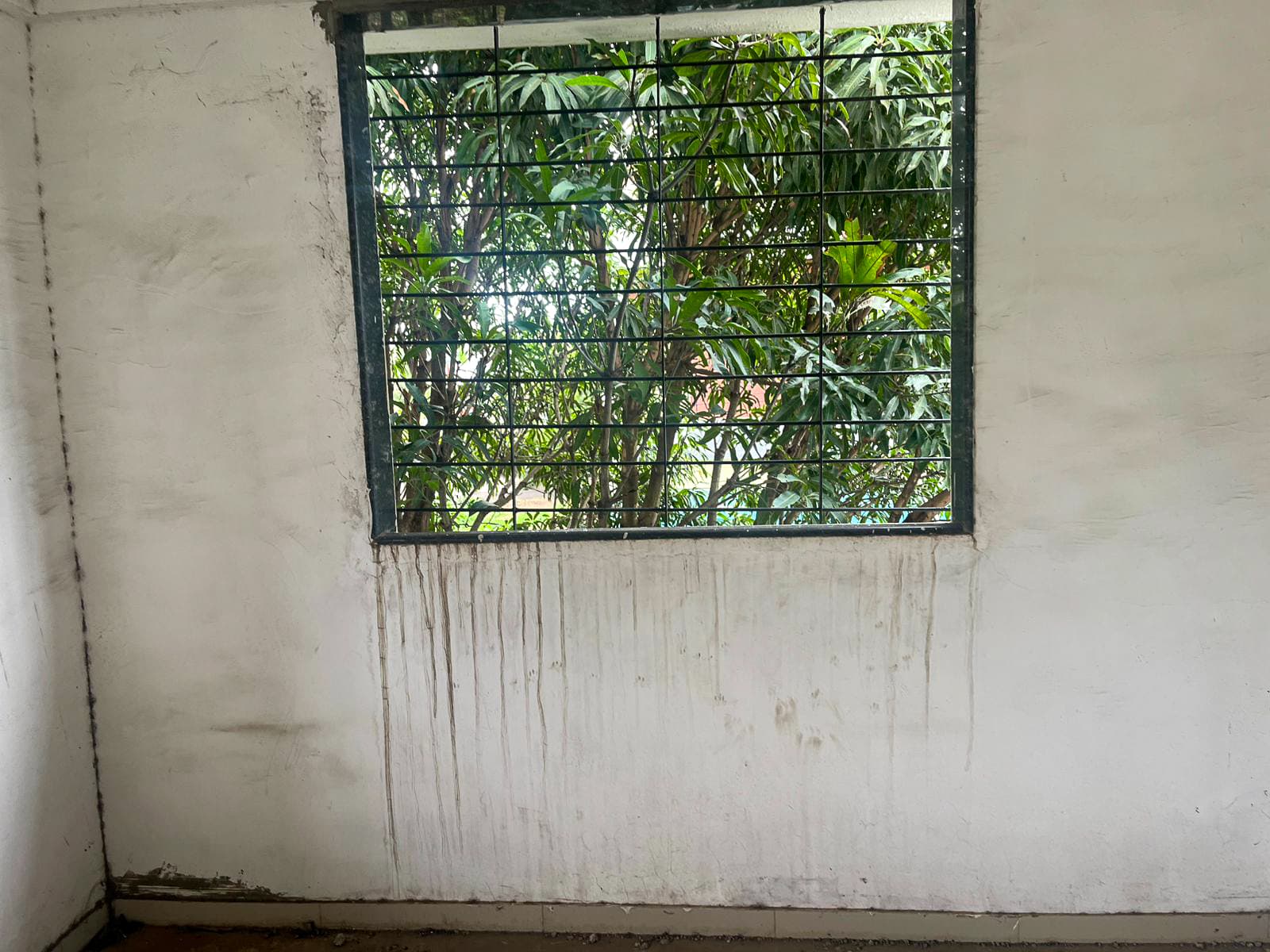 Property Photos 9