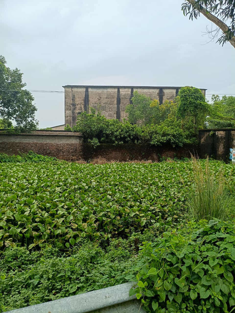 Property Photos 5
