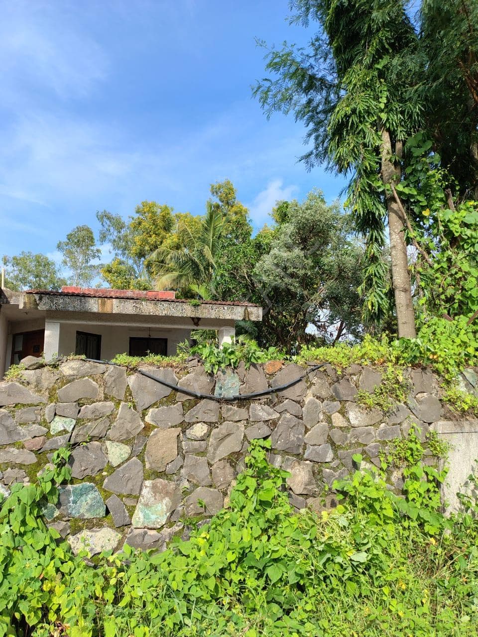Property Photos 2